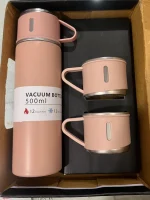 500ml Vacuum Insulated Bottle Set with 2 Cups – Pink